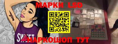 индика Можга