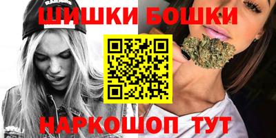 индика Можга