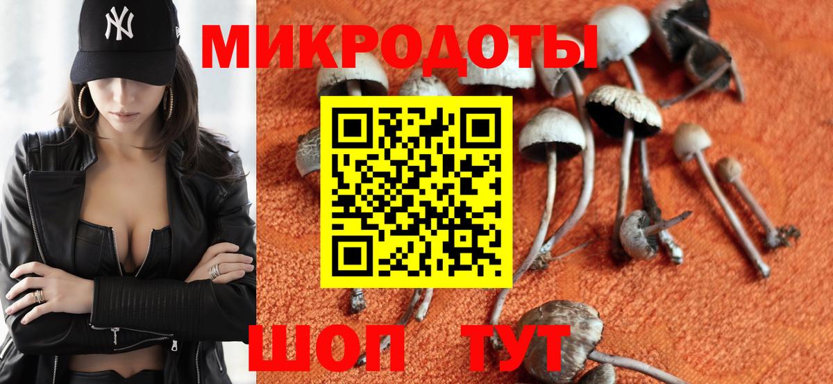 Галлюциногенные грибы мицелий Волжский